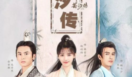 电视剧芸汐传,穿越时空的医爱传奇