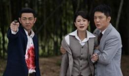 电视剧铁核桃,智勇双全，揭秘抗战风云