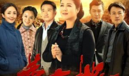 黄大妮电视剧全集,命运与爱情的交织