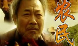 根电视剧,探寻家族血脉，追溯历史沧桑