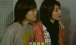 美丽在望 电视剧,青春追梦，爱情绽放