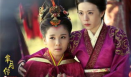 芈月传电视剧剧情介绍,宫廷权谋与女性崛起的传奇之旅