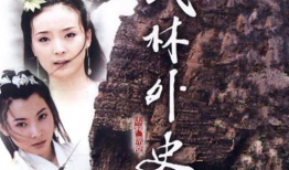 武林外史电视剧,江湖恩怨，侠骨柔情