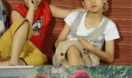 电视剧家有儿女第三部,青春成长记