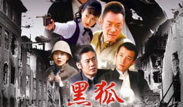 黑狐电视剧全集,谍影重重，暗战风云
