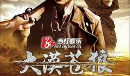 电视剧《苍狼》,烽火岁月中的英雄传奇