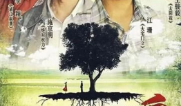 施京明主演的电视剧,演绎时代变迁的传奇人生