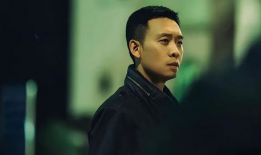 张译主演的电视剧大全,演技巅峰之作，情感深度演绎