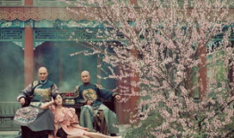 宫2电视剧全集,宫廷风云再起——爱恨情仇，权谋争斗，揭秘后宫秘辛