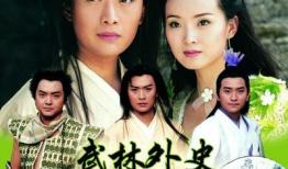 武林外史电视剧,江湖恩怨，侠骨柔情