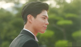 朴宝剑电视剧,演绎人生百态，诠释情感深度