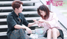 电视剧狐狸的夏天,甜蜜邂逅与成长之旅