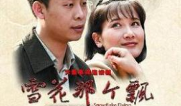 雪花那个飘电视剧全集,温情岁月里的家族传奇