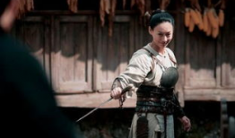 武打片电视剧,江湖风云再起