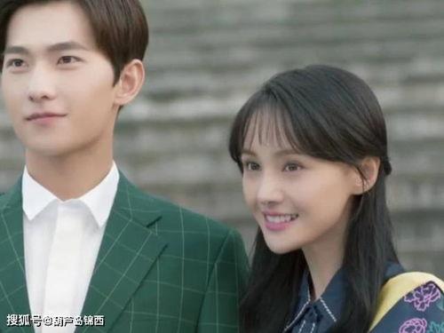 郎才女貌电视剧,才子佳人演绎现代爱情传奇